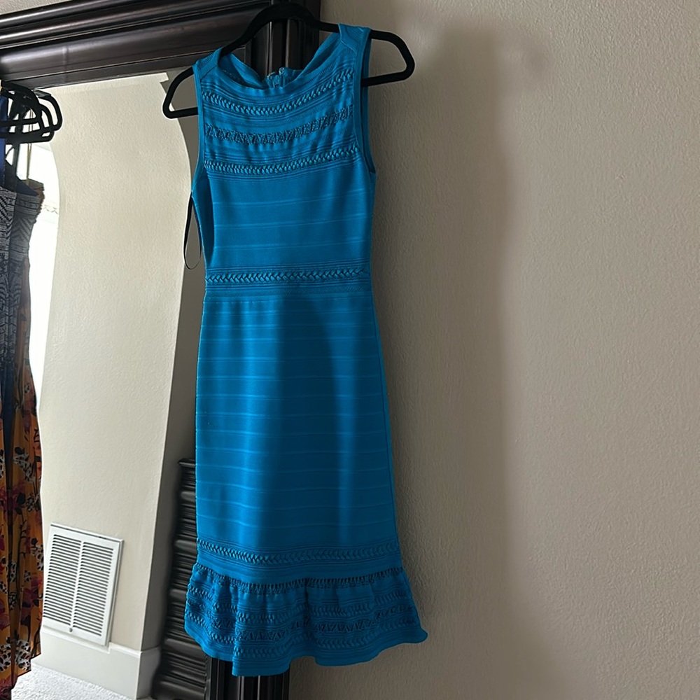 Herve Leger Dress
